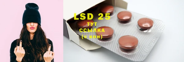 mdpv Вяземский