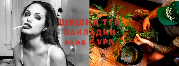 mdpv Вяземский