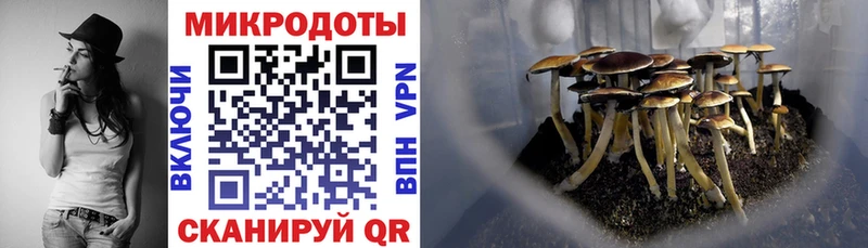 Галлюциногенные грибы Cubensis  купить наркотик  Истра 